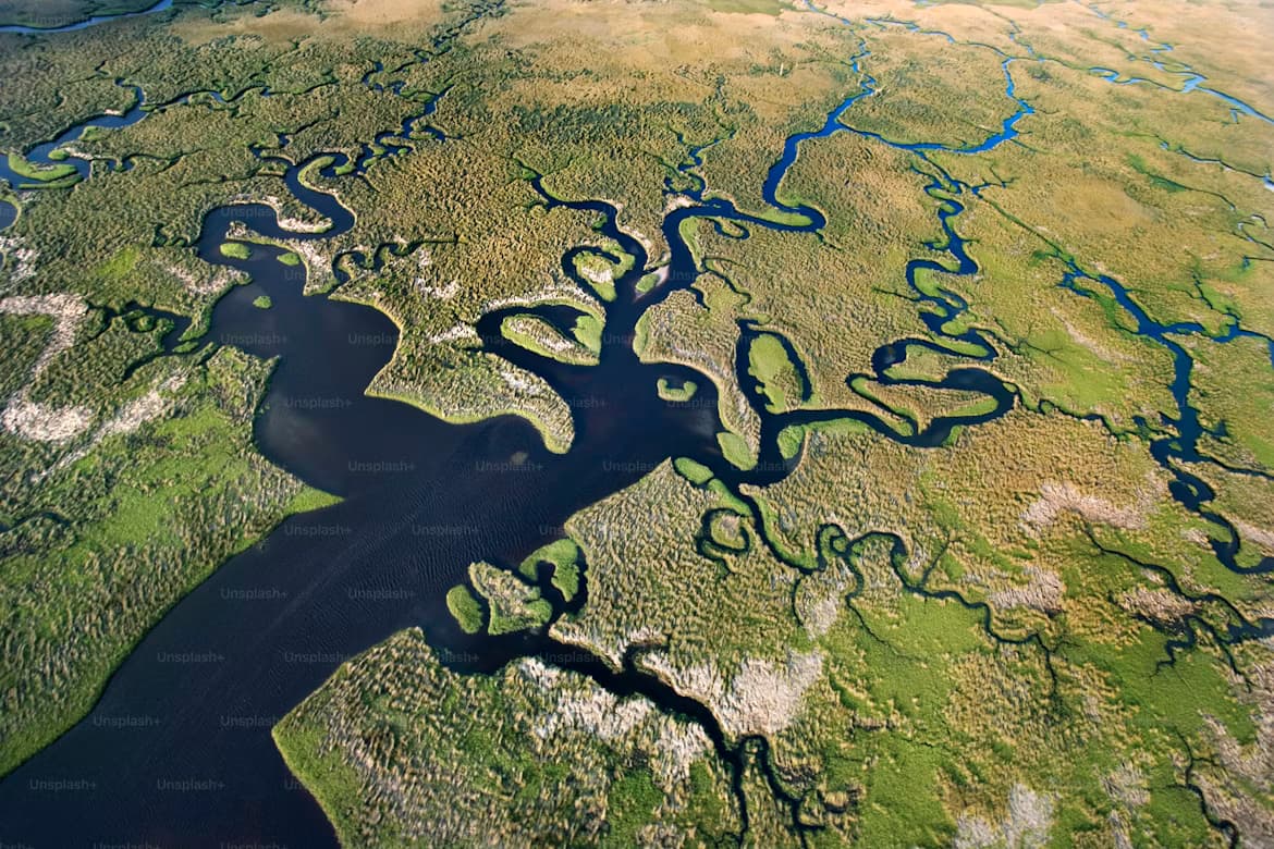 A Nation of Extraordinary Depth